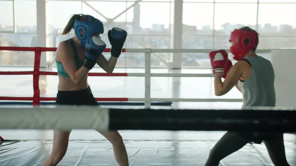 Slow Motion of Female Boxers Wearing Protective Uniform Sparring Indoors in Modern Gym