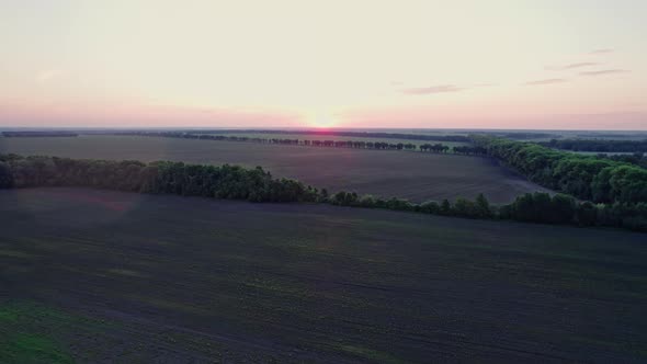 Beautiful Sunset Sky Over a Green Meadows