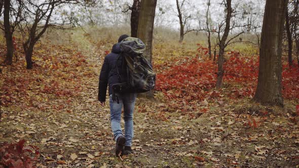 Tourist with backpacks travel. Tourist man with backpack on meadow in autumn forest