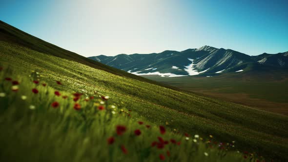 Panoramic View of Alpine Mountain Landscape in the Alps