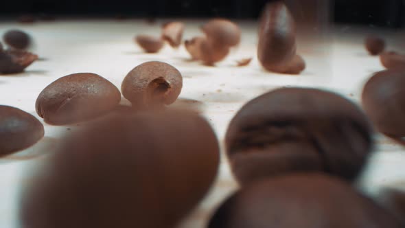 Pouring Coffee Beans