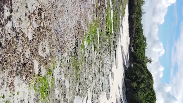 Zanzibar Tanzania  Vertical Video of Low Tide in the Ocean Near the Coast Slow Motion