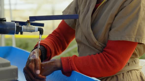 Worker cleaning hand in blueberry farm 4k