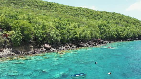 Tropical beach coast view (Martinique)