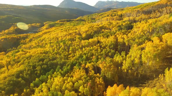 Fall colors in Crested Butte, Colorado