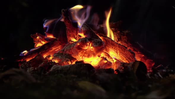 Bonfire at Night Time