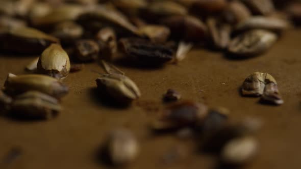 Rotating shot of barley and other beer brewing ingredients