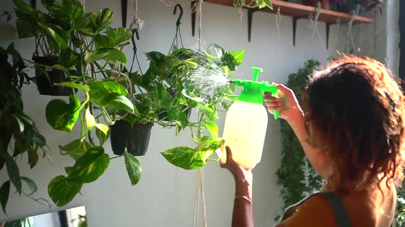 Beautiful Woman Sprays Green Plant with Water While Standing in Light Apartment Spbd