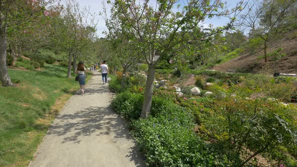 Path in the Japanese Garden