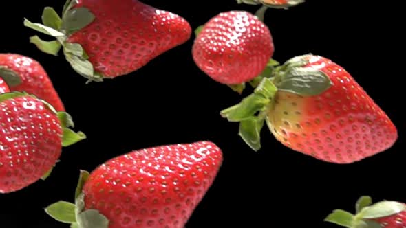 Super Closeup of Red Strawberries Falling Diagonally on the Black Background