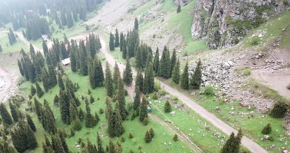 Green Gorge with Forest in the Mountains