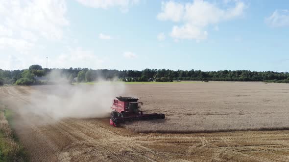 Red combine harvester harvests barley in the field in summer. Aerial view. Harvest time.