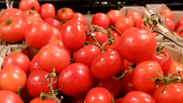 Tomatoes in the Supermarket Slow Motion Camera