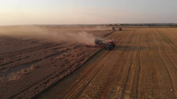 Aerial shot: combine pouring harvested wheat into tractor tipper