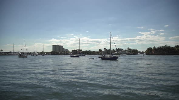 Sailboats floating on the water