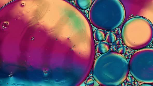 Abstract Colorful Food Oil Drops Bubbles 145