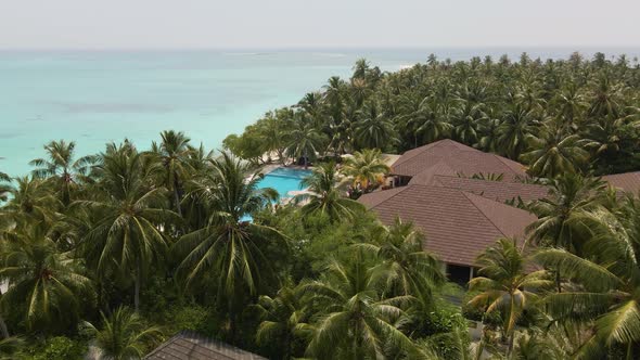 Top view of a hotel with a jetty with many green plants in the maldives
