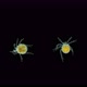 Water mite Hydrachnidia, semeystva Hydrachnidae under microscope, - VideoHive Item for Sale