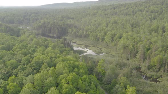 Flying over road winding towards river within wilderness spectacular nature