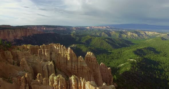 Aerial camera approaches a dense pine forest (Zion National Park, Utah, USA)