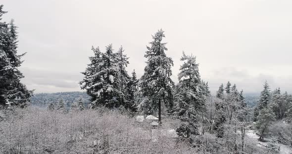 Fresh Snowfall On Residental Suburban Neighborhood