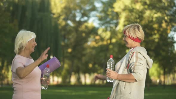 Two Women Friends Meeting Before Workout in Park and Giving High Five Each Other