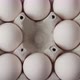 Hand picks up chicken eggs from a cardboard tray, top view - VideoHive Item for Sale