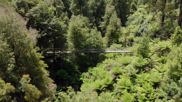 Aerial shot moving forward of people walking over a suspension bridge in the distance in green fores