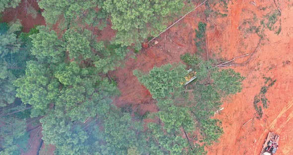 Deforestation Dozers for Deforestation and Preparing Land for Construction