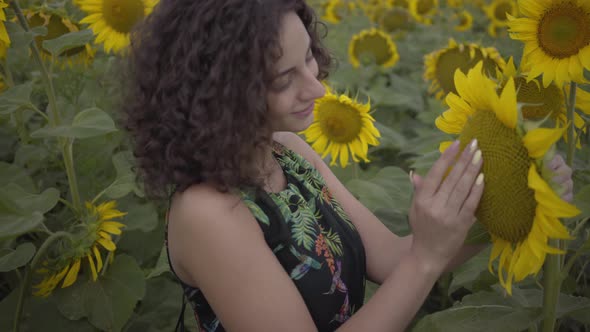 Portrait of Cute Curly Girl Sniffing Big Sunflower in the Sunflower Field