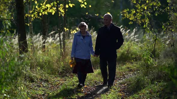 Happy Elderly Man and Woman Are Strolling Together in Forest at Early Autumn, Sunny and Warm Weather