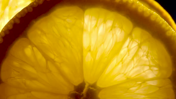 Macro Shot of Orange Fruit Flesh Structure