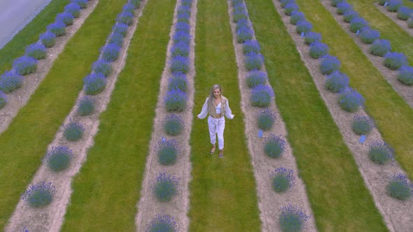 Aerial revel of a young women in a lavender field during a summer day