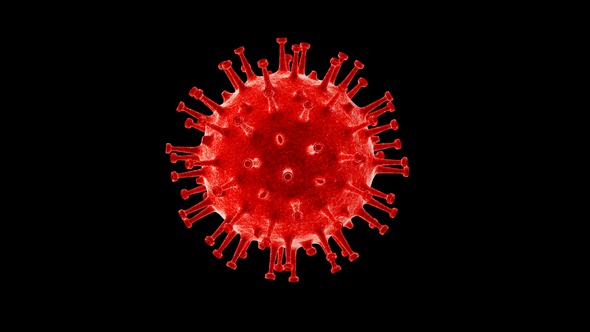 Coronavirus Visualization Covid 19 V1 alt