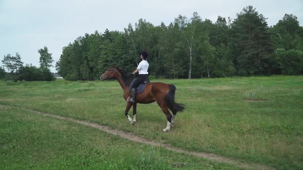 Woman Rider on Horseback Riding in a Clearing Near the Forest, Horse Walking Along a Forest Path