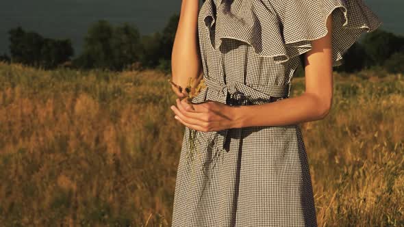 Girl with Wheat Spikes in Her Hands Against a Beautiful Landscape. Slow Motion