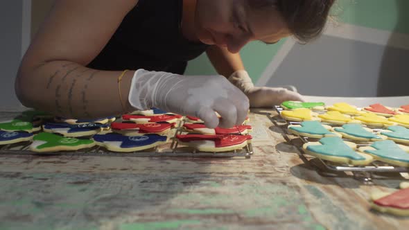 Woman decorates homemade vehicle shaped cookies with sugar icing. Medium tilt shot