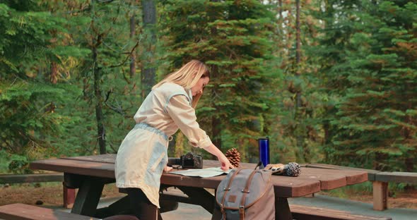 Model Traveler in the Picnic Area with Pine Forest on Motion Background, USA