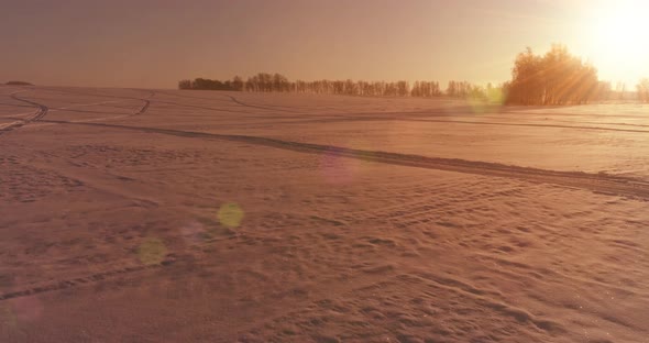 Aerial Drone View of Cold Winter Landscape with Arctic Field, Trees Covered with Frost Snow and