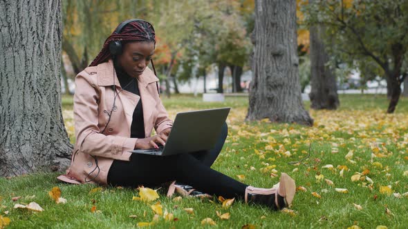 Young Focused Female Student Freelancer Sitting in Autumn Park Near Tree Working on Laptop Typing