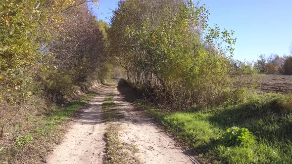 Country Road Through The Village Of Ryndevo