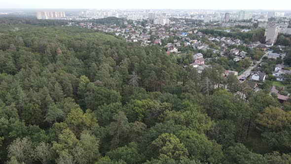 Megalopolis Next To the Forest: the Contact Between the Big City and Nature. Aerial View. Slow