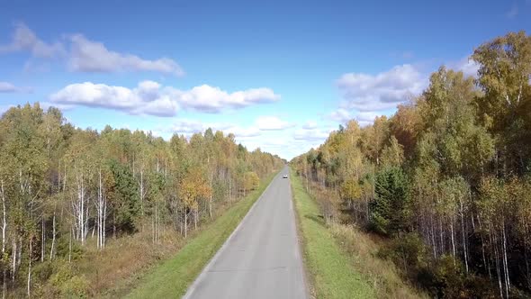 Nice Aerial View Yellow Birch Woods and Distant Car on Road