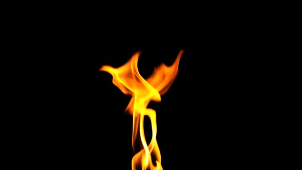 Fire Burning Flame with Alpha alt