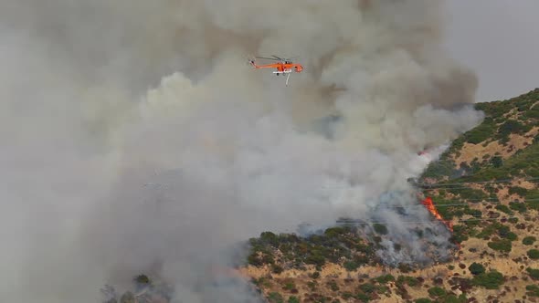 Hollywood, The Extinguishing of Massive Wildfire, From the Air with the Help of Firefighter Copter