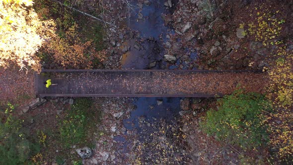 Hiker crosses footbridge in forest - West Virgnia - Autumn