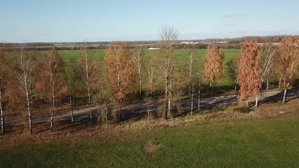 Autumn Landscape Aerial View 28