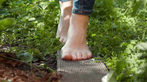 Closeup of Bare Female Feet Walking on Wooden Board Through Dense Grass in Garden