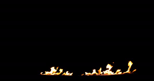 A line of real flames starts to burn on a black background. Isolated Igniting fire. 4k
