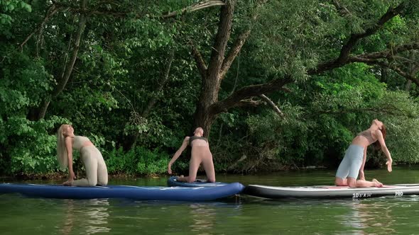 Young Woman Training on Sup Board Outdoors